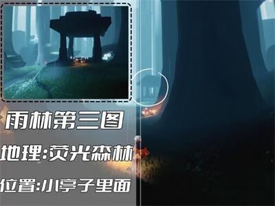 《光遇》雨林冥想点位置攻略