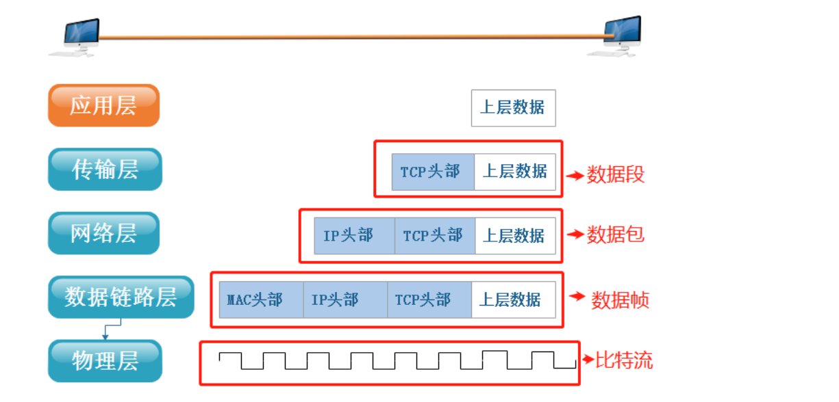 Linux--网络基础（概念+协议的了解+OSI七层模型，TCP/IP五层协议，网络数据传输流程）