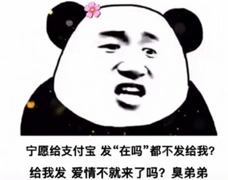 《支付宝》宁愿给支付宝发在吗表情包