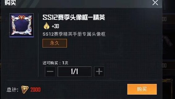 《和平精英》ss12特训套装怎么样