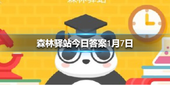 《微博》森林驿站今日答案1月7日