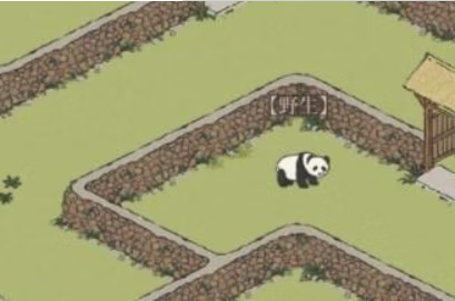 江南百景图大熊猫位置在哪里怎么抓捕呢
