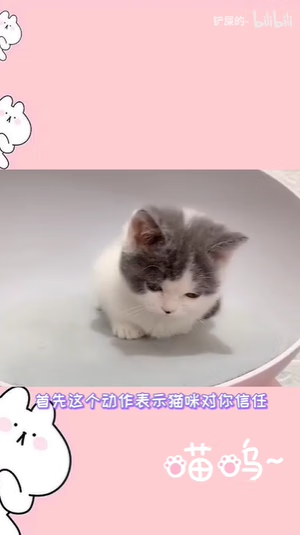 《抖音》揣手猫原视频在哪里看