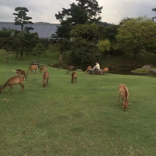 《微信》状态背景图大全