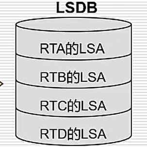 浅谈-动态路由之OSPF的理解