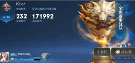 《王者荣耀》全国战队为什么不显示