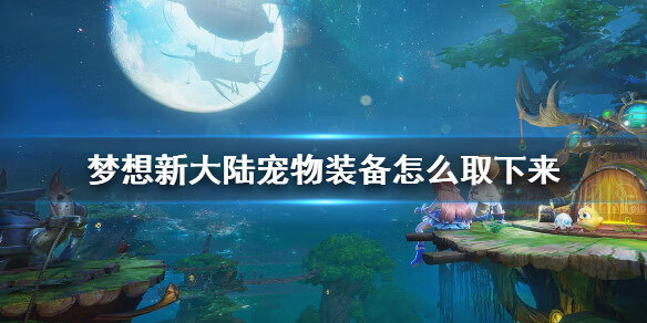 《梦想新大陆》宠物装备怎么取下来