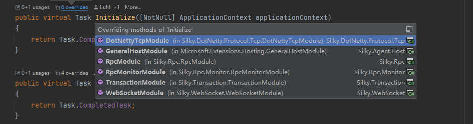 Silky微服务框架之模块