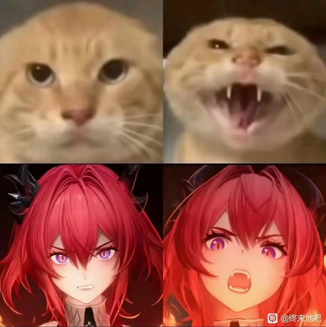 一周趣图时间到,一起来开心下吧ヽ(*。>Д<)o゜