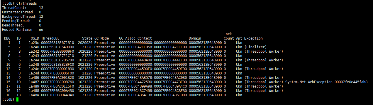 重新整理 .net core 实践篇 ———— linux上排查问题实用工具 [外篇]