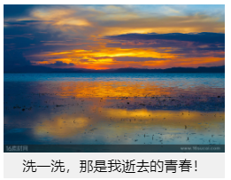 HTML元素大全(1)
