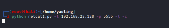 python渗透测试入门——取代netcat