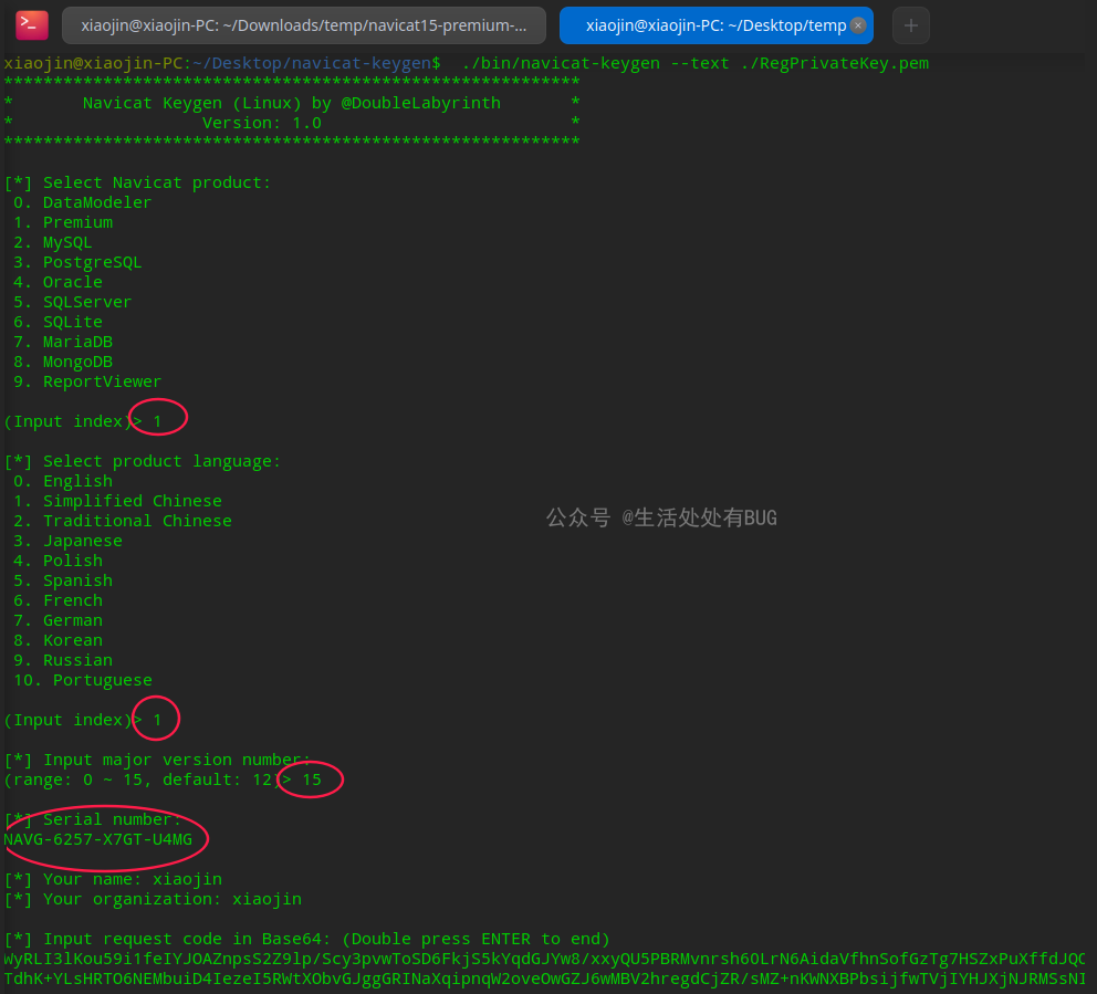 Deepin系统navicat15安装