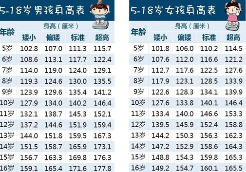 《hikaku-sitatter》测身高软件使用教程