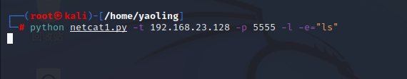 python渗透测试入门——取代netcat