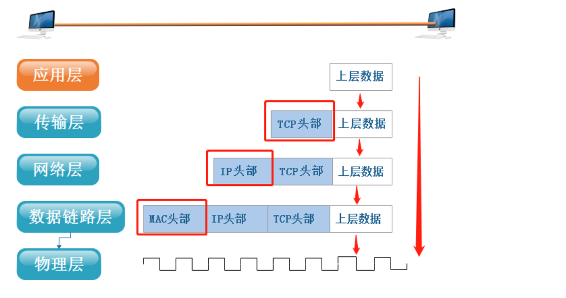 Linux--网络基础（概念+协议的了解+OSI七层模型，TCP/IP五层协议，网络数据传输流程）