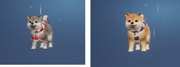 《龙族幻想》爱宠装扮有什么
