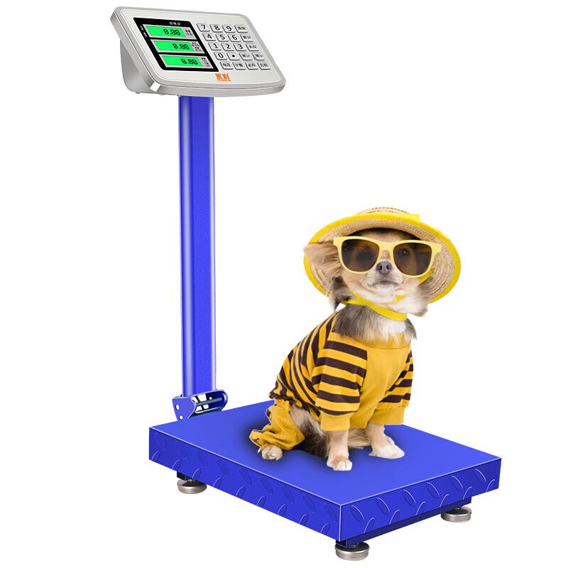 永彩可折叠电子秤