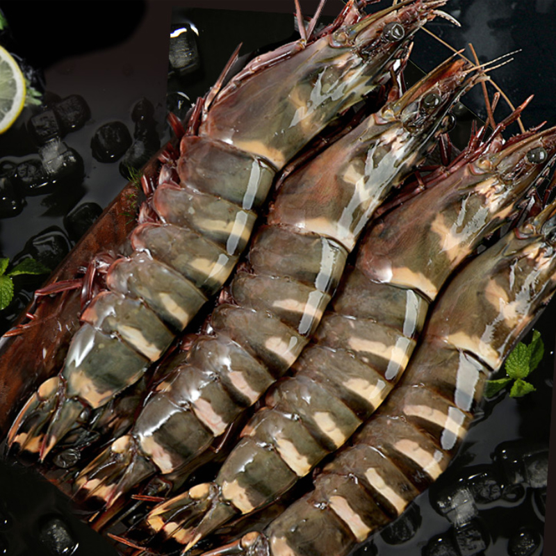 禧客鲜 虎虾新鲜黑大虾鲜活冷冻特大草虾竹节老虎巨大海鲜水产小吃