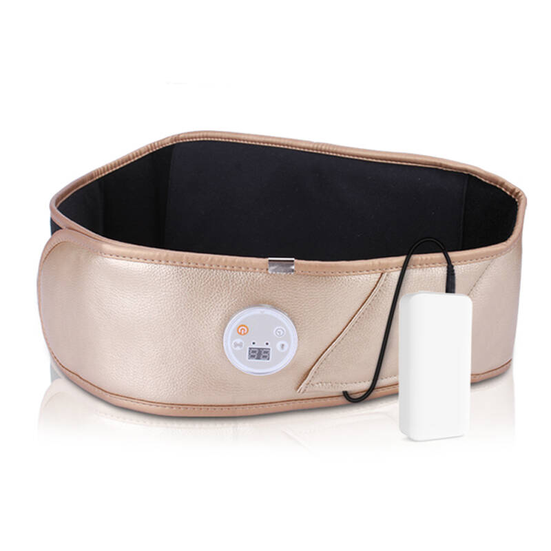 FREEFIELD 按摩护腰带