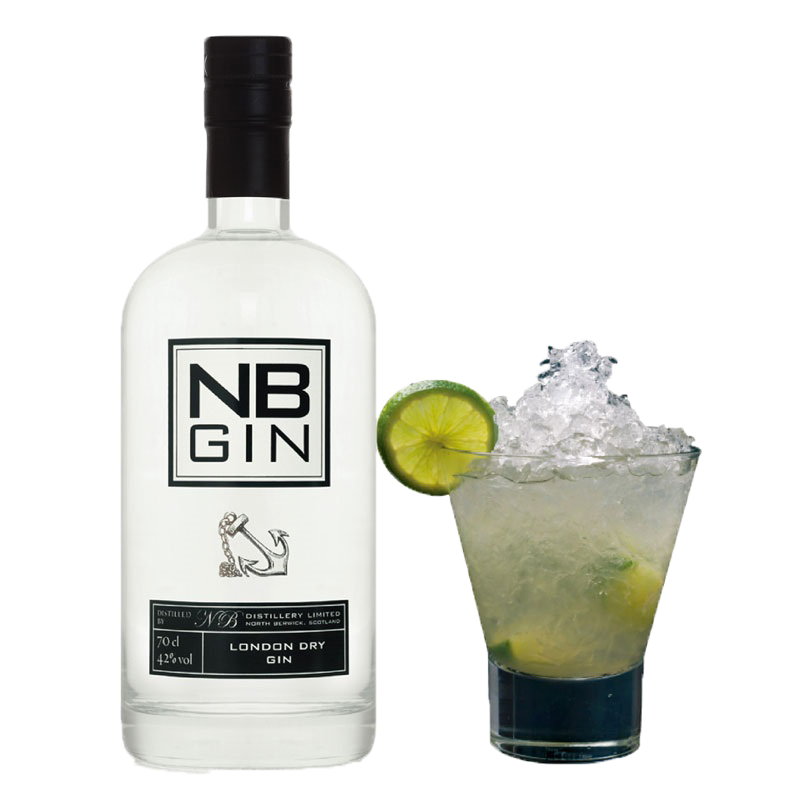 NBGIN金酒毡酒特加