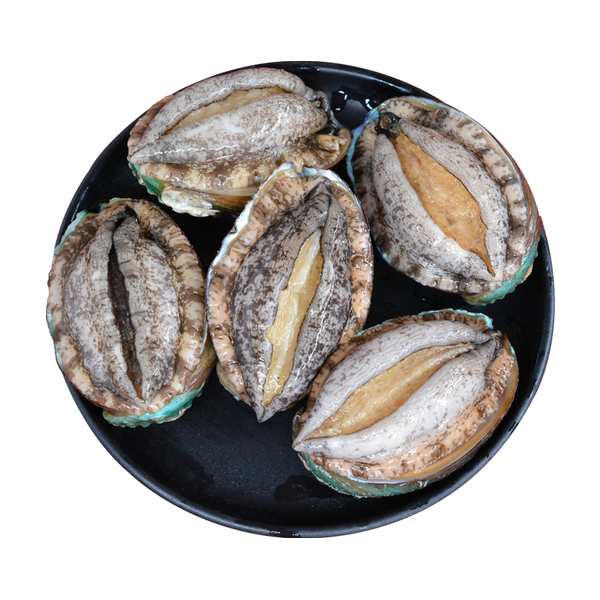 新西兰 蓝壳 鲍鱼