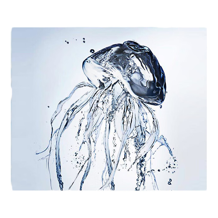 蓝尼芳可水母玻尿酸补水套装