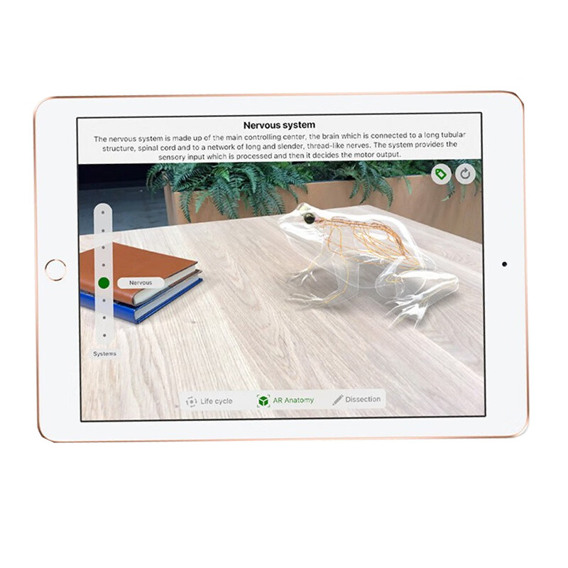 苹果 指纹识别平板电脑