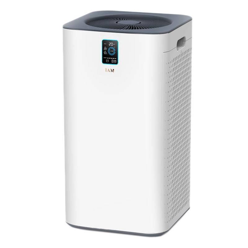 IAM除甲醛雾霾空气净化器
