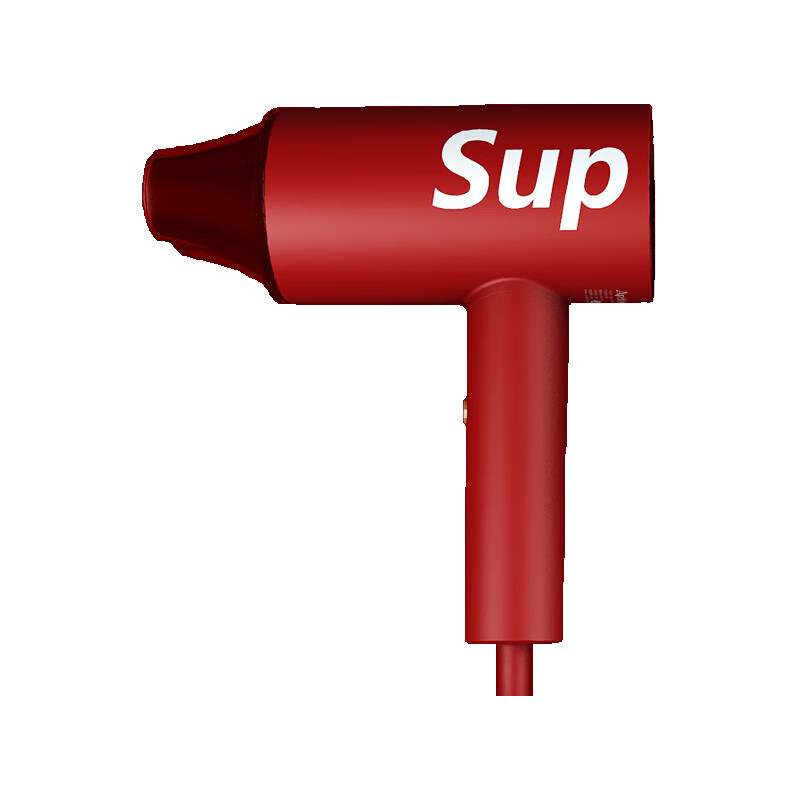 荷兰艾优 速干恒温吹风机