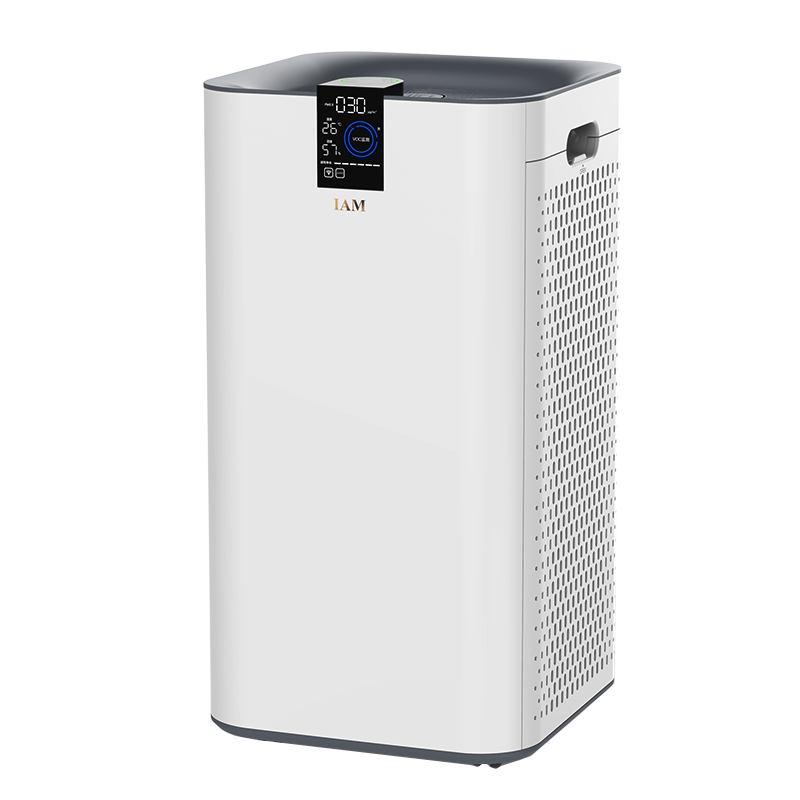 IAM除甲醛异味空气净化器
