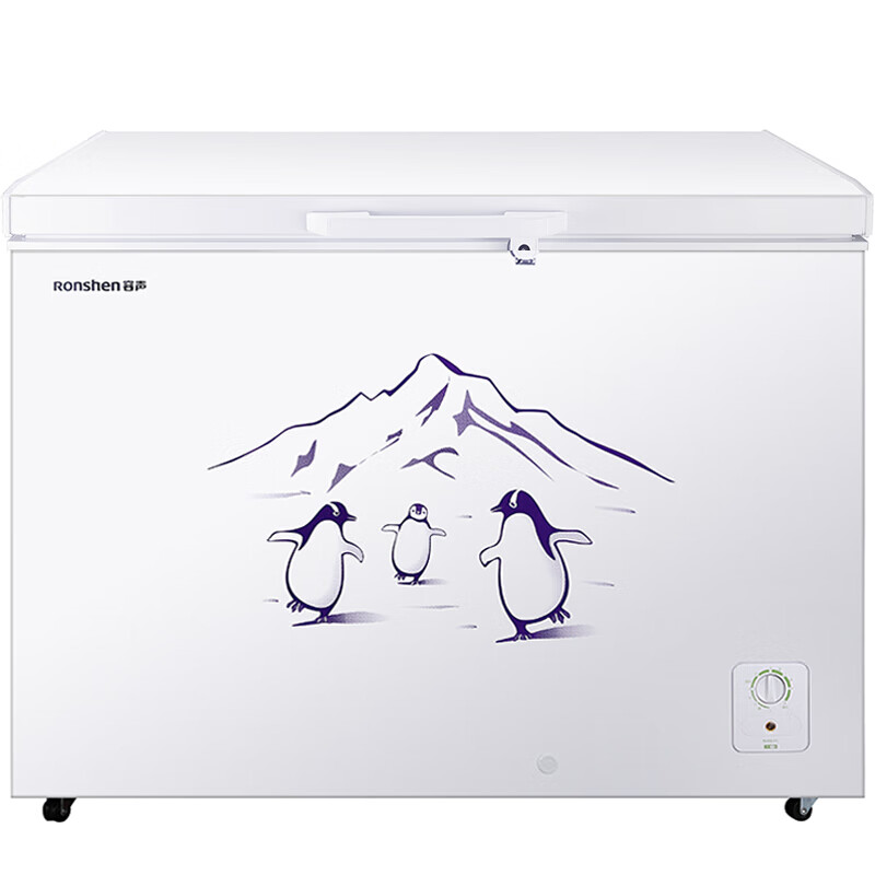 容声 大容量卧式冷柜