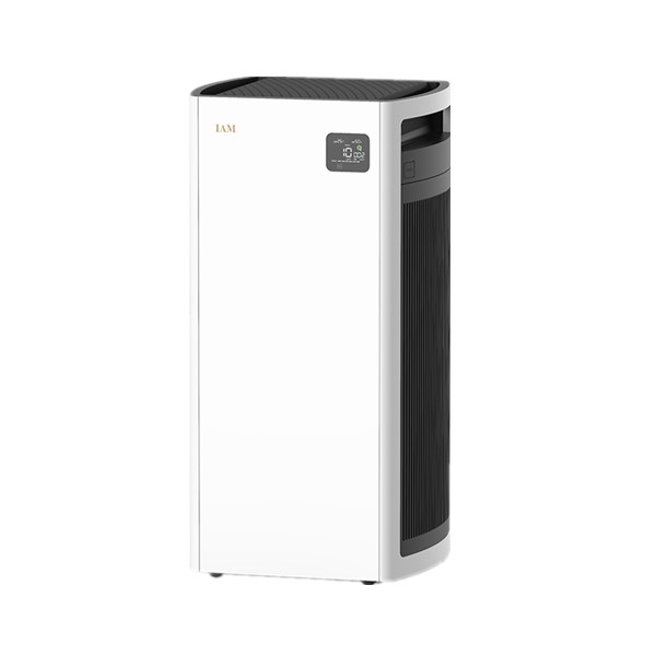 IAM 除甲醛雾霾空气净化器