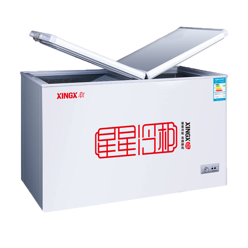 星星 蝴蝶门单温冰柜