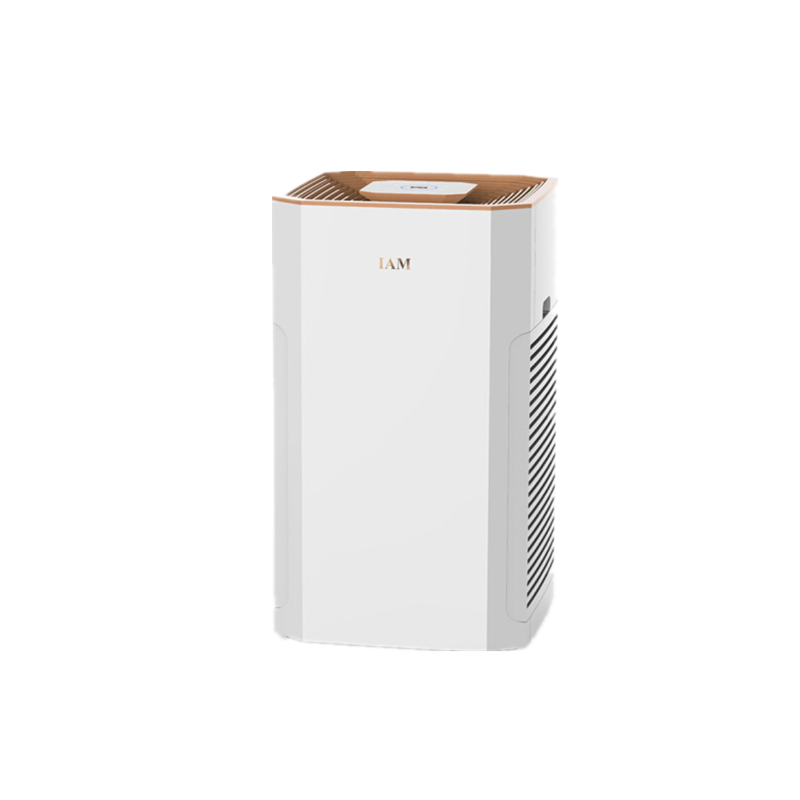 IAM 空气净化器