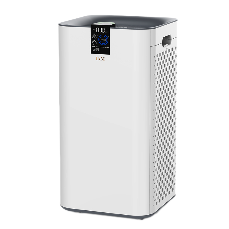 IAM除颗粒物异味空气净化器