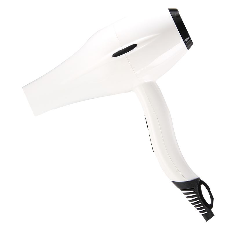 WATTS负离子吹风机