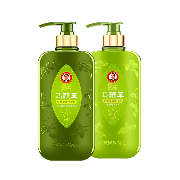 霸王 马鞭草沐浴露洗发水套装