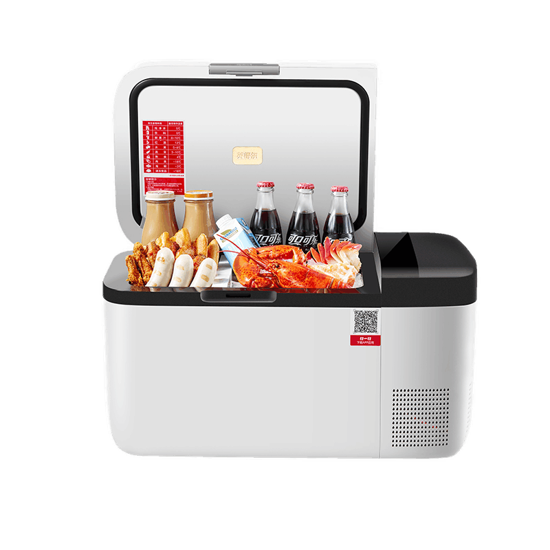 英得尔 20L车家两用迷你冰箱