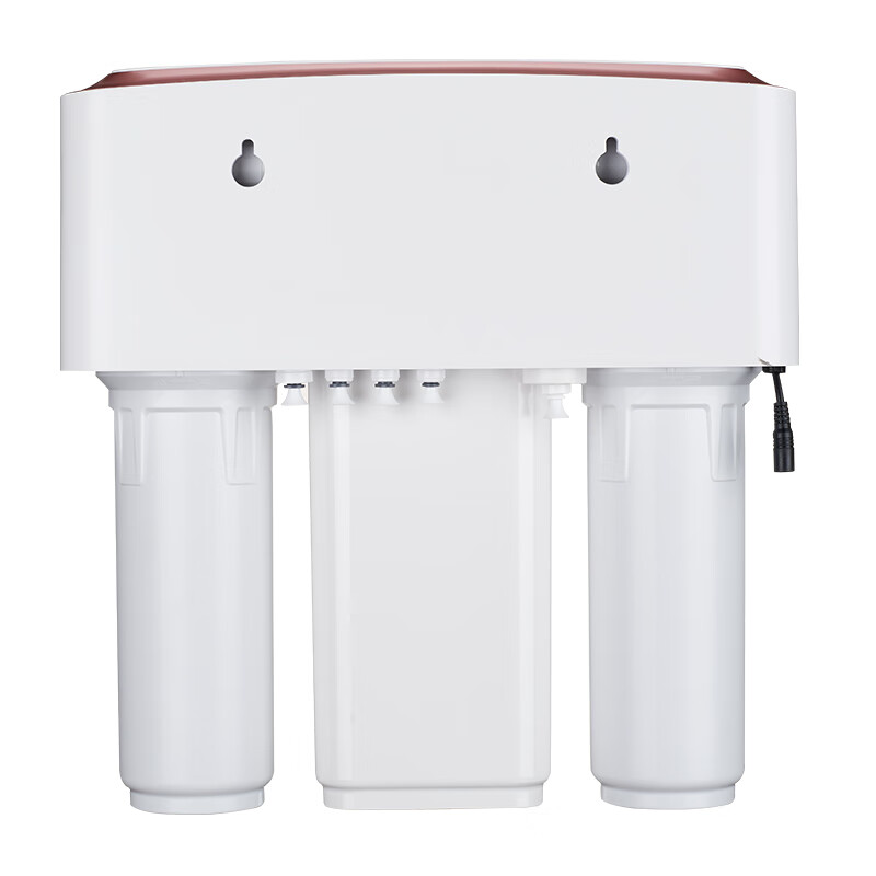 沁园 双模双出水净水器