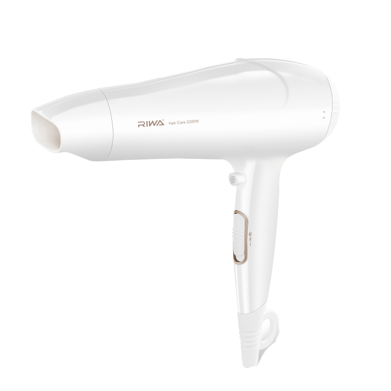 雷瓦 速干恒温家用电吹风