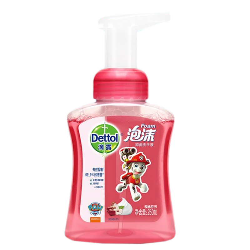 滴露 泡沫抑菌洗手液
