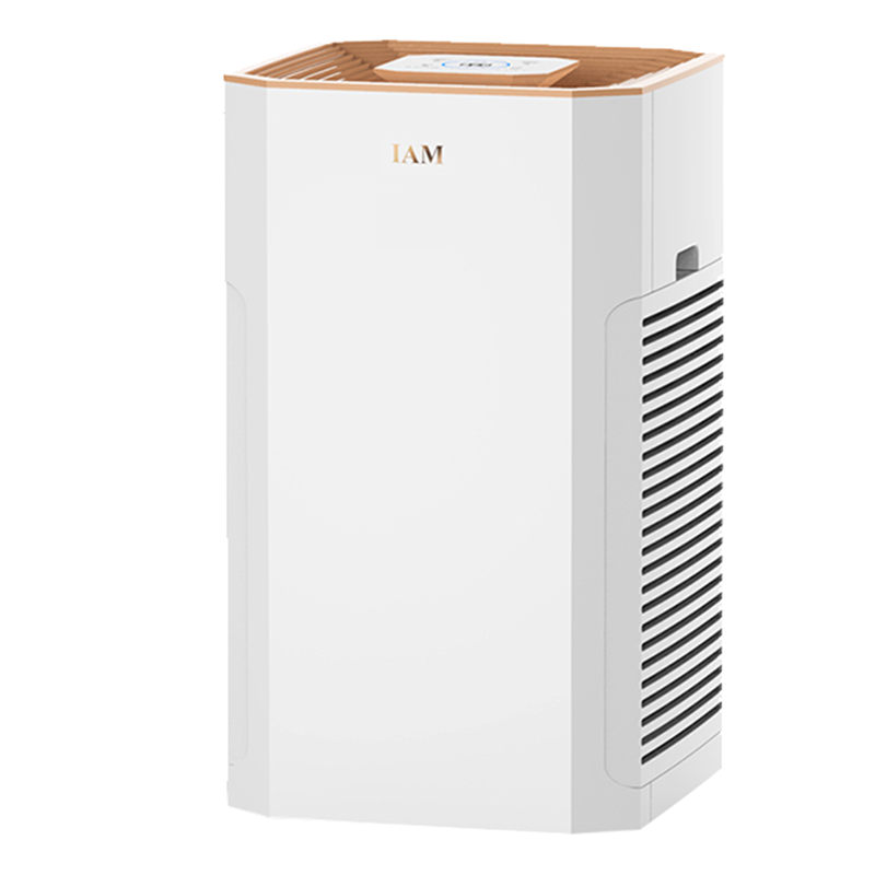 IAM去除异味空气净化器