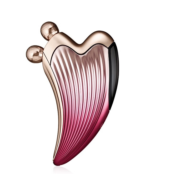 黎珐 面部颈部专用 美容仪