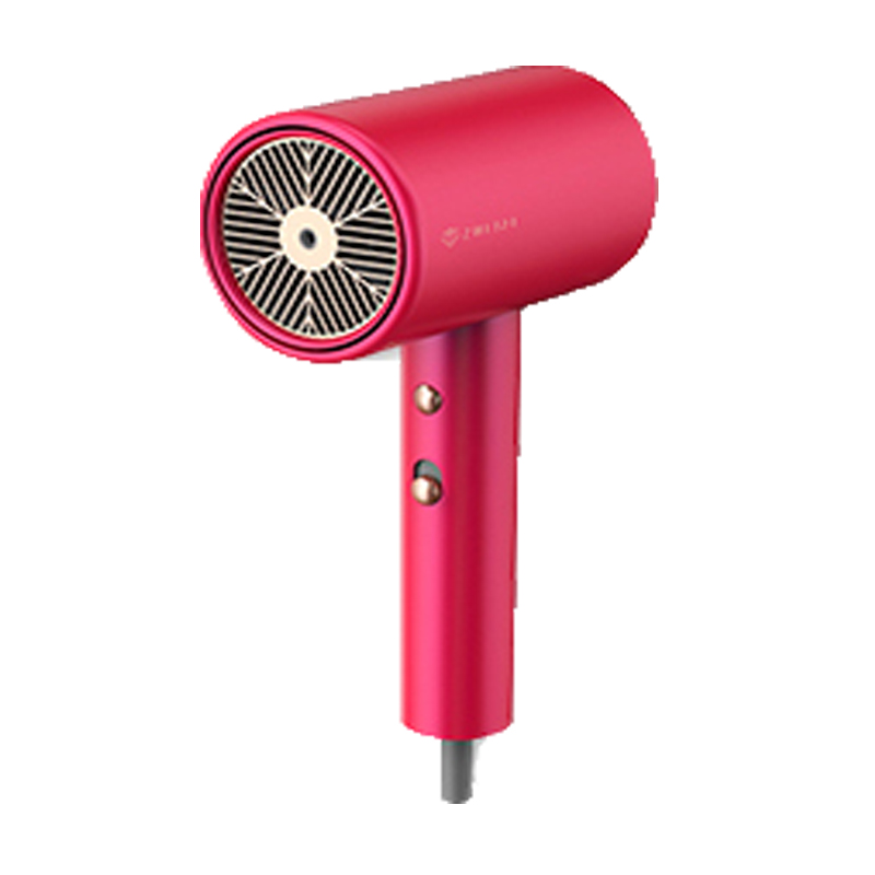 直白 恒温护发负离子吹风机