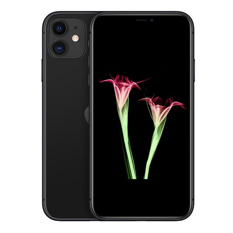 Apple 广角镜头手机