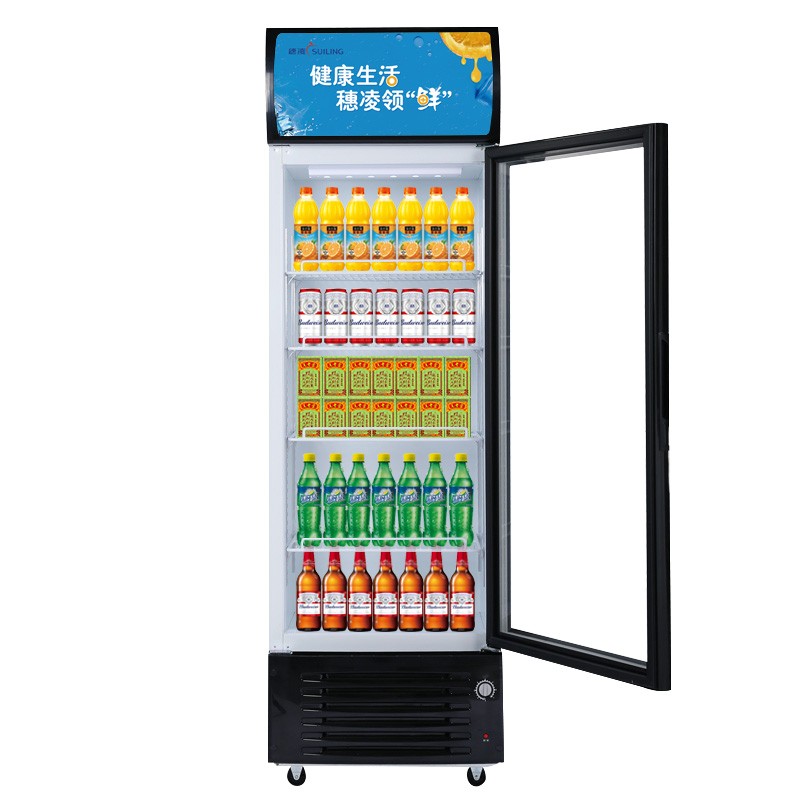 穗凌 立式商用大容量展示柜