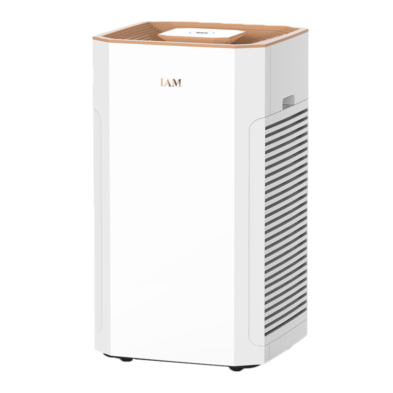 IAM除甲醛雾霾空气净化器