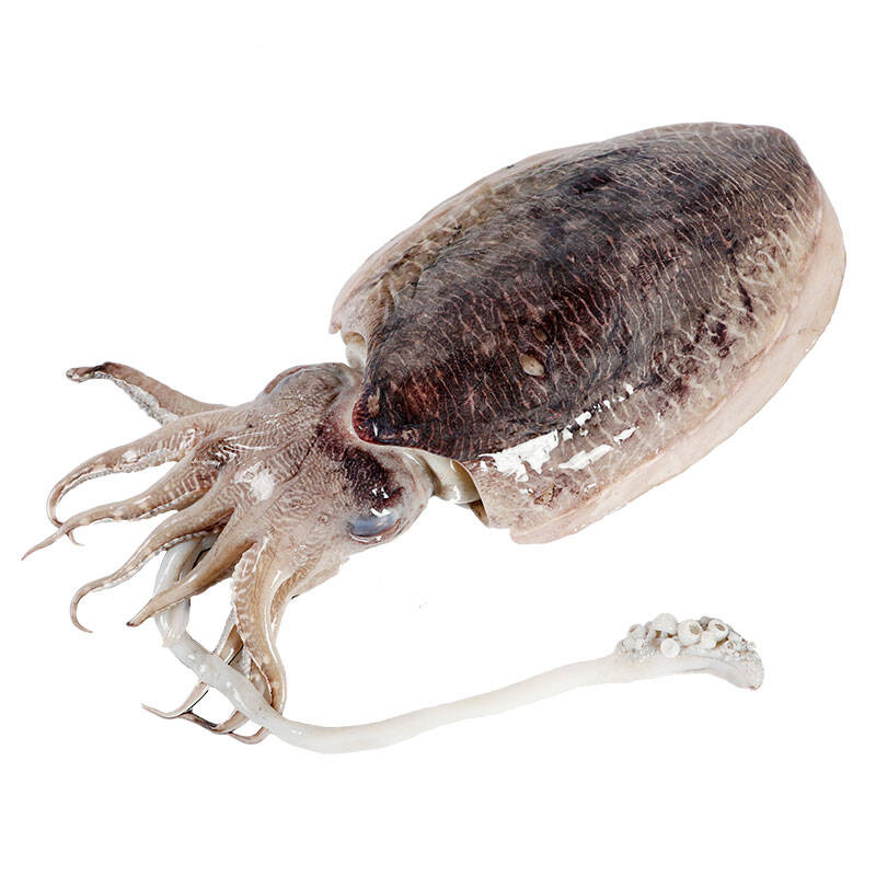 唐人基 冷冻 小八爪鱼