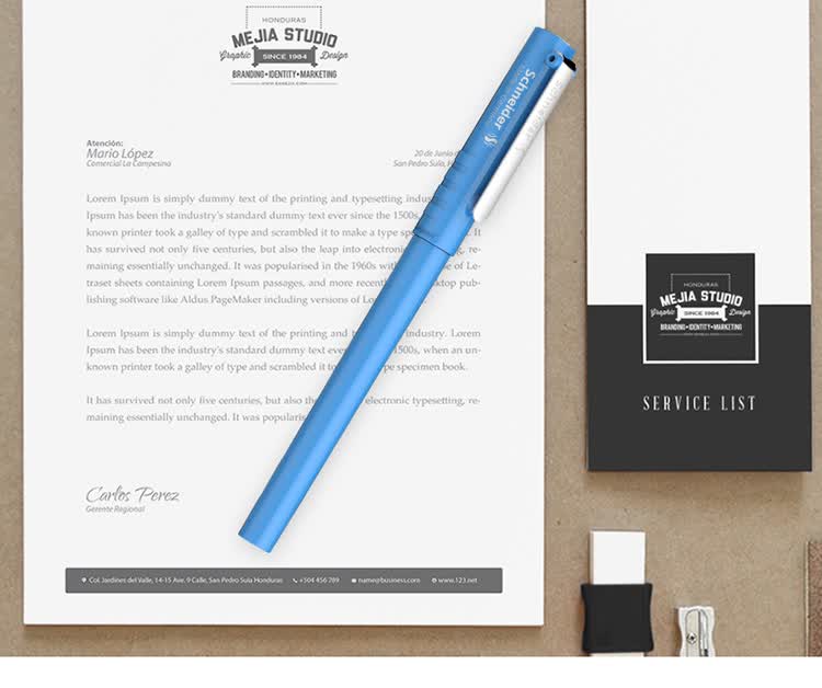 Schneider Ballpoint Pen for Students And Office Use, Refillable with Replaceable Cartridge, German Import Rollerball Pen, 0.5mm BK406R Turkish Blue 15
